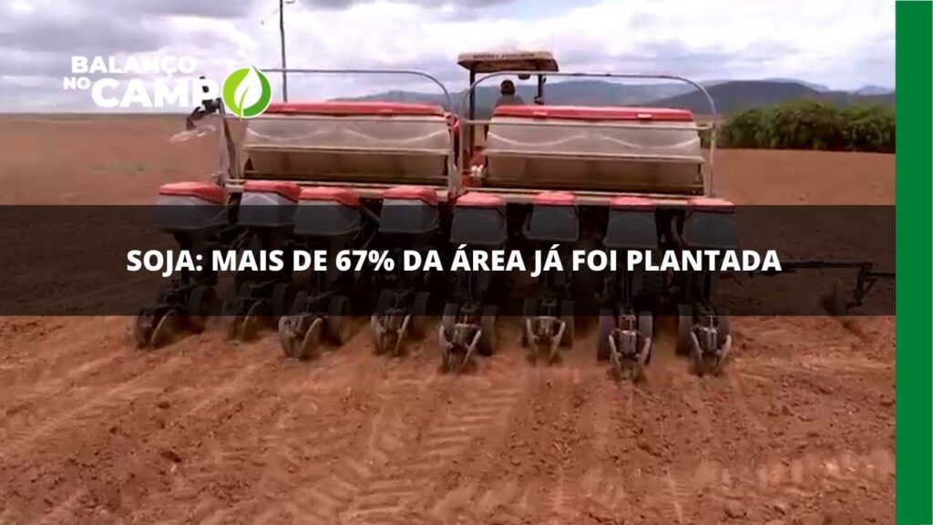 Plantio da soja no Brasil ultrapassa 67% da área