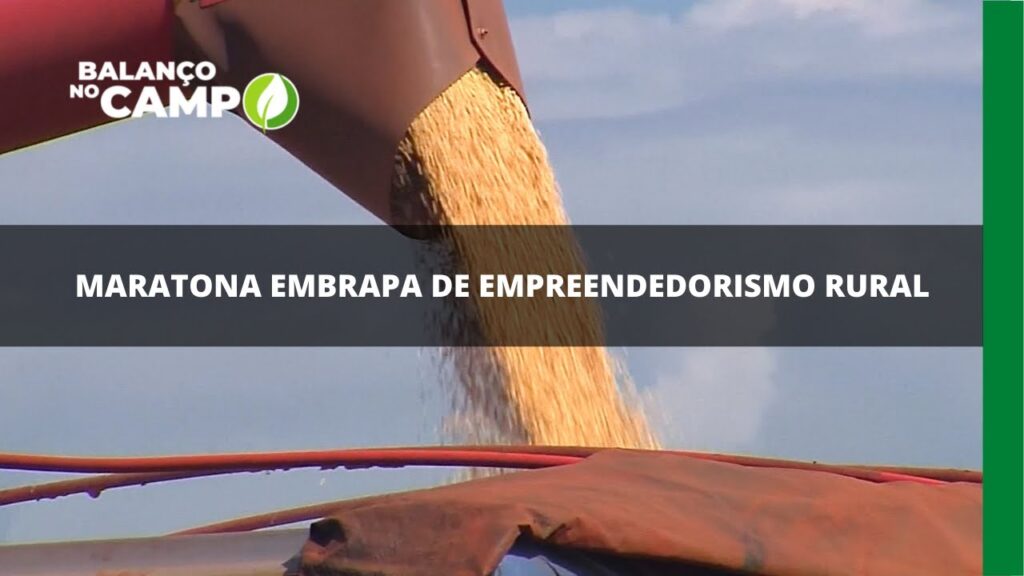 Embrapa: maratona sobre empreendedorismo rural