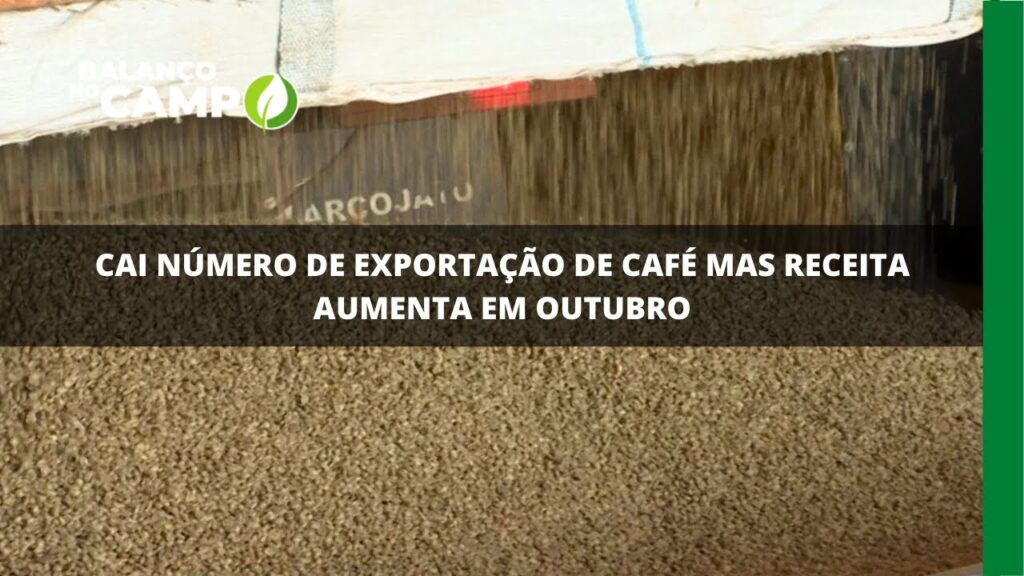 Exportação de café cai e receita aumenta em outubro