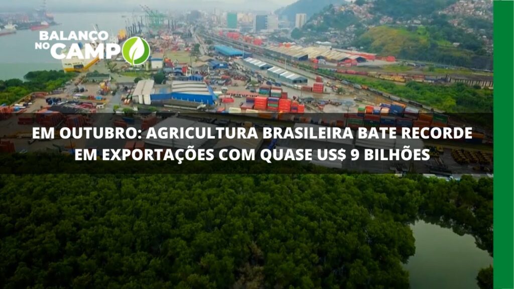 Exportações brasileiras batem recorde no mês de outubro