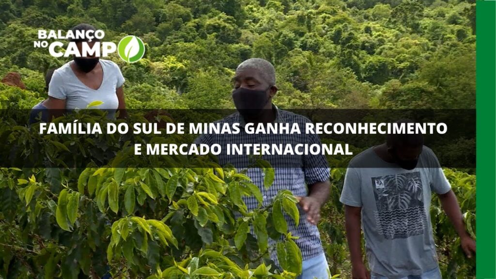 Cafeicultores de Minas ganham destaque internacional