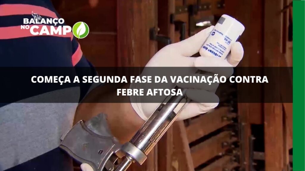 Atenção pecuaristas: começou a segunda etapa da vacinação contra febre aftosa