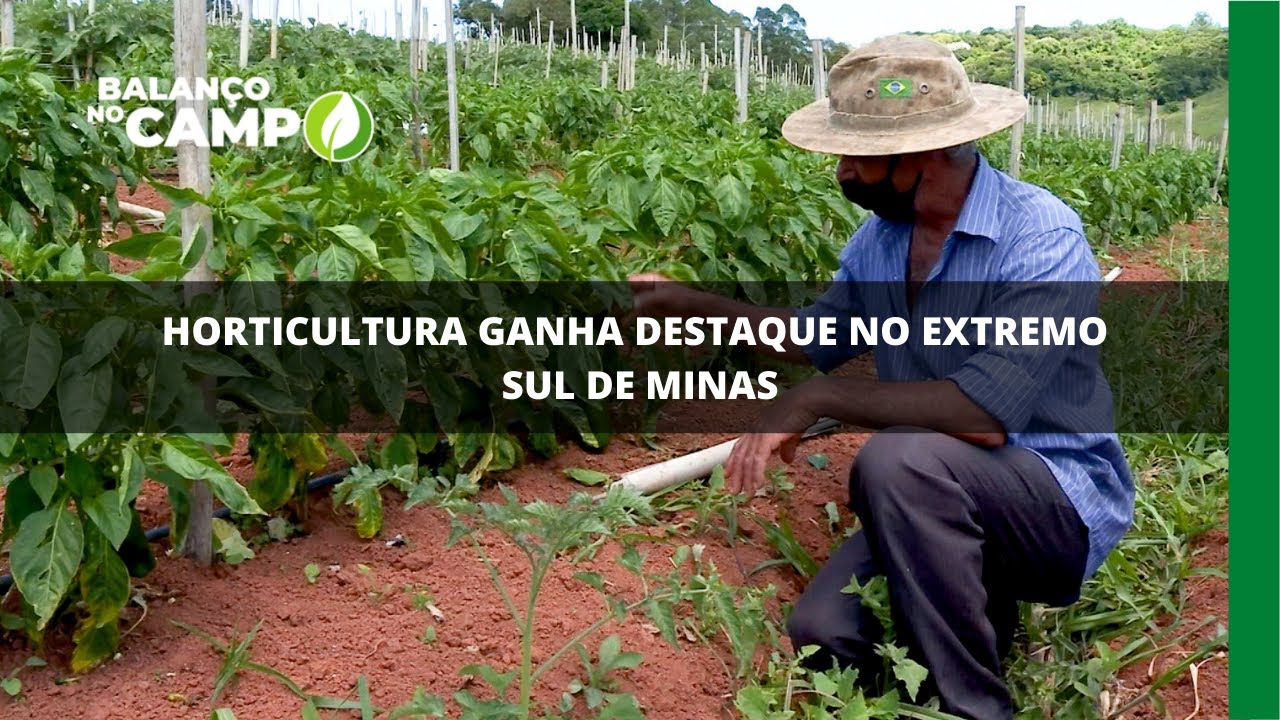 PIB da horticultura é destaque no extremo Sul de Minas