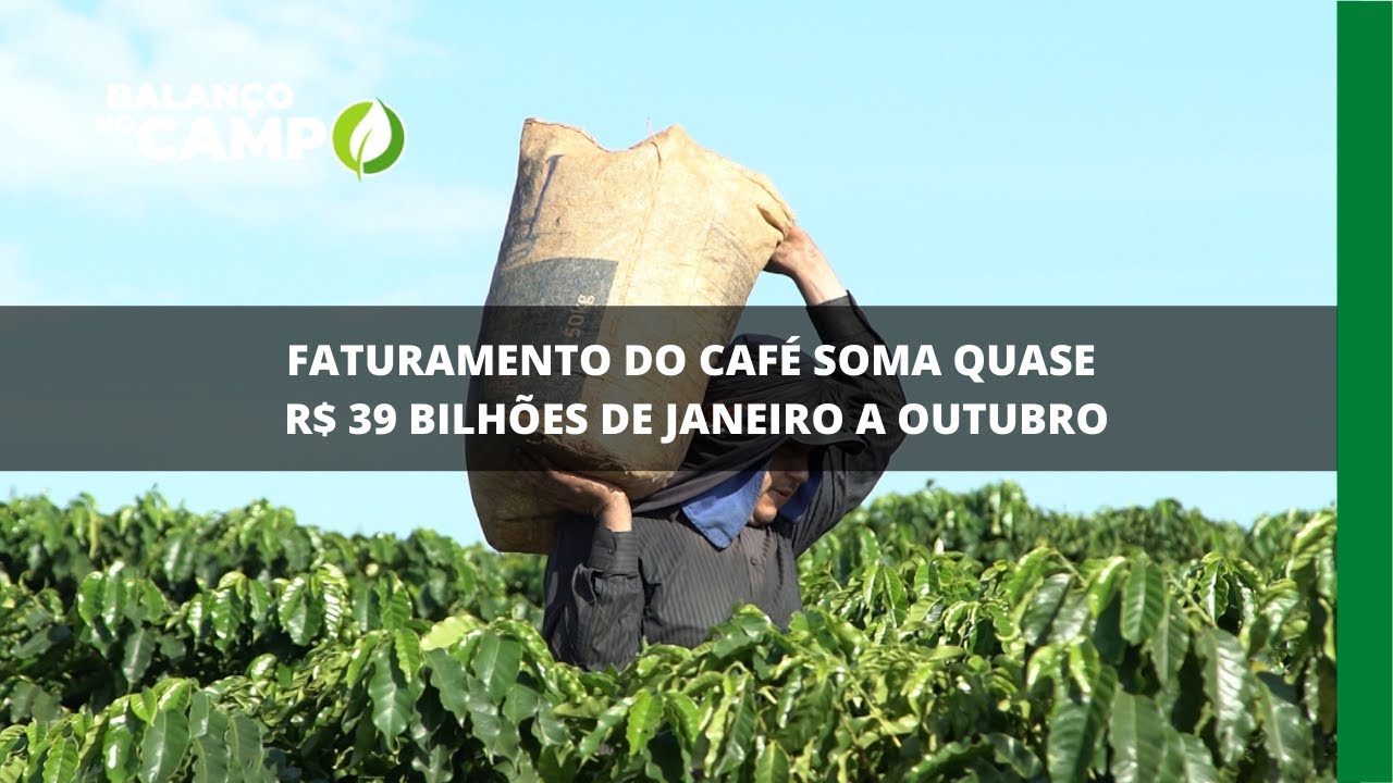 De janeiro a outubro o café brasileiro faturou quase R$ 39 bi