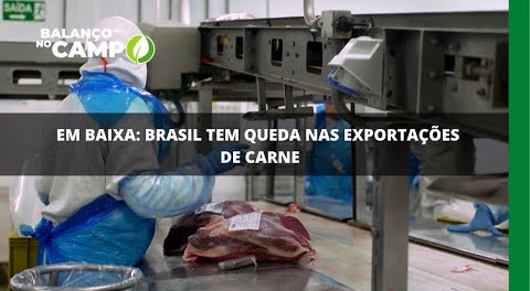 Exportação de carne bovina cai 43% em outubro