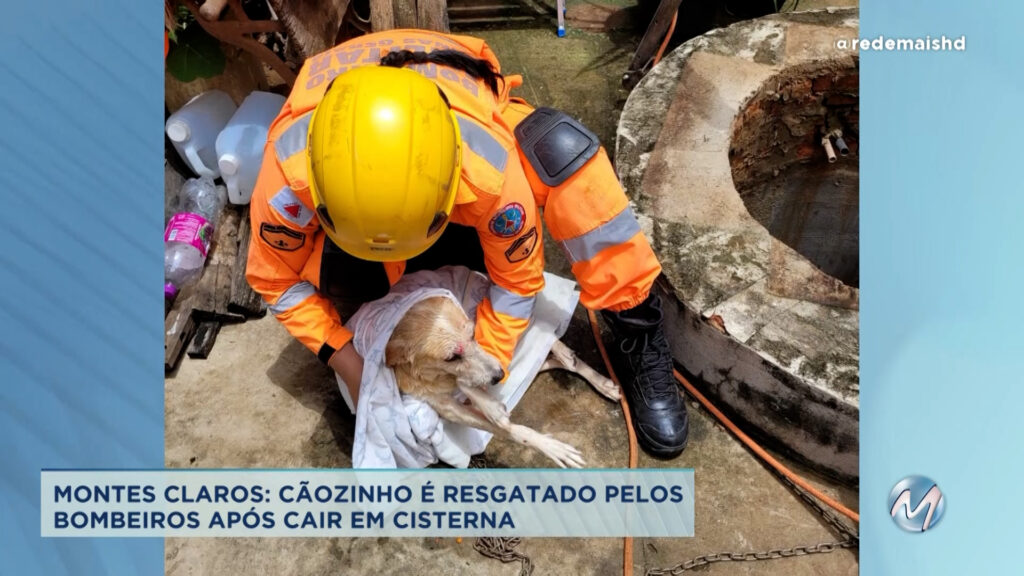 Cão é resgatado por bombeiros em Montes Claros