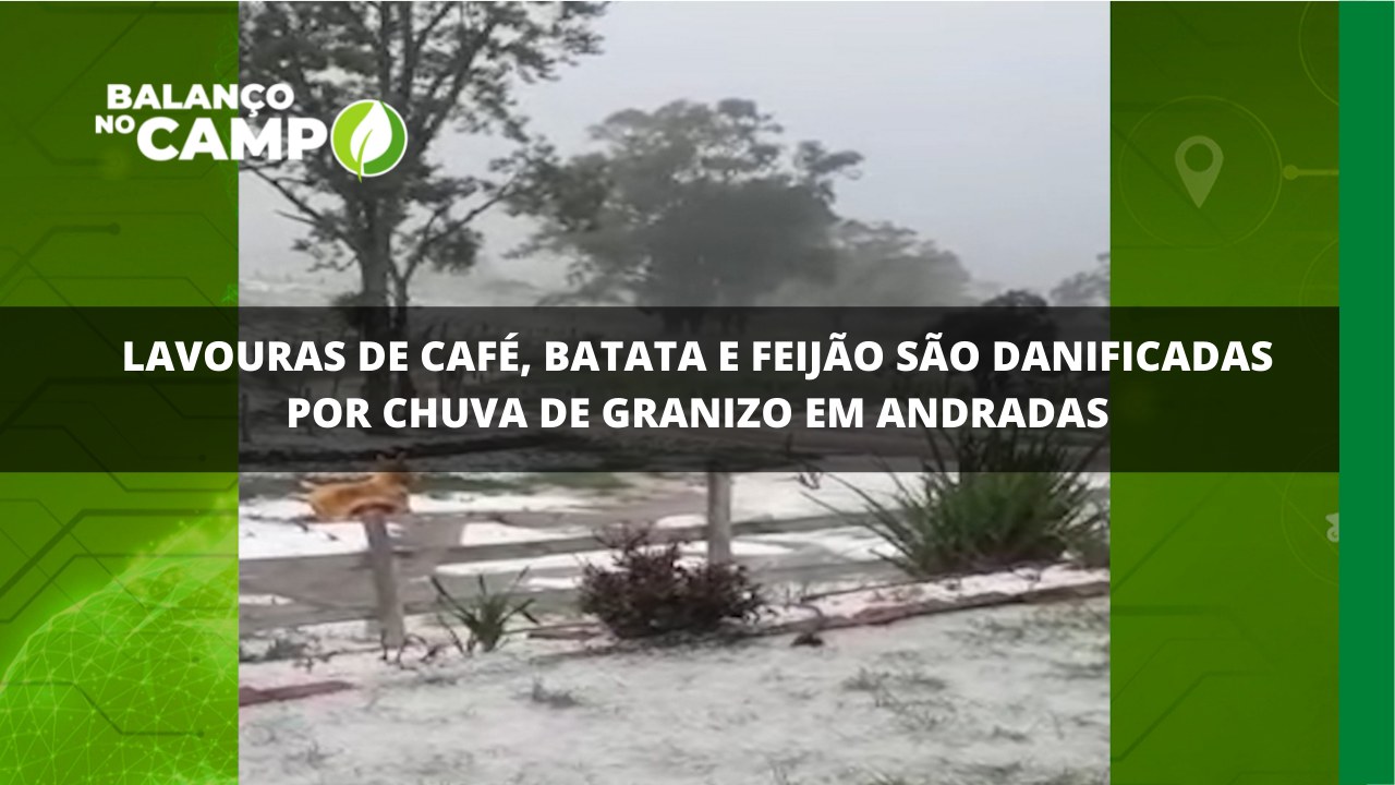 Chuva de granizo deixa prejuízos em Andradas.