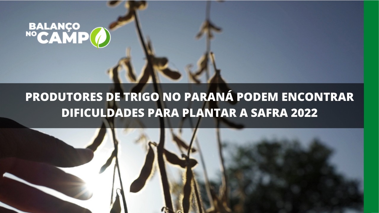 Produtores de soja no Paraná podem contratar dificuldade na safra de 2022.