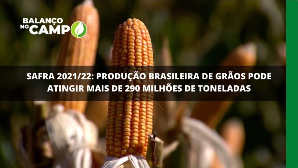 Safra de grãos traz resultados positivos para a produção nacional.