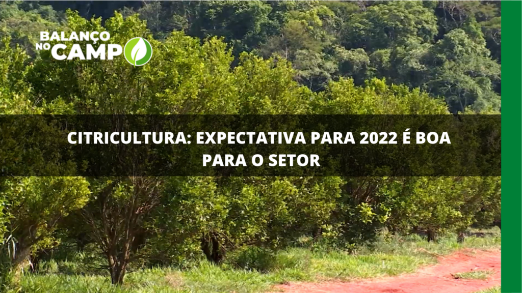 2021: ano desafiador para a citricultura
