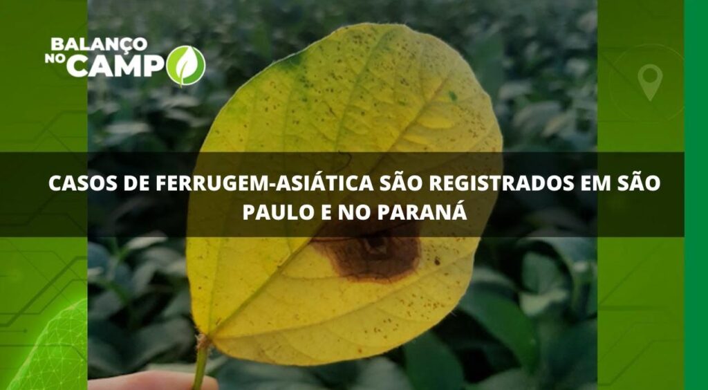 Primeiros casos de ferrugem-asiática são registrados no Brasil.