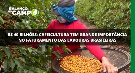Cafeicultura teve faturamento de mais de R$ 40 bi em 2021