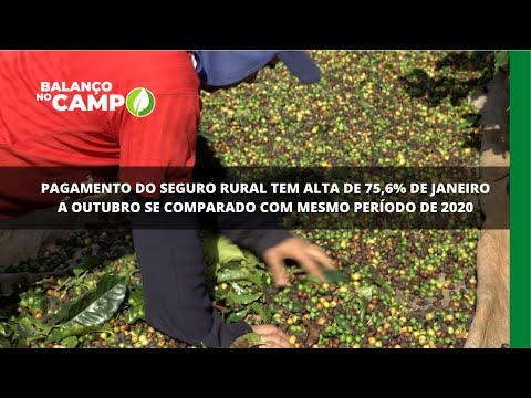 Seguro rural paga R$ 3,6 bilhões de janeiro a outubro