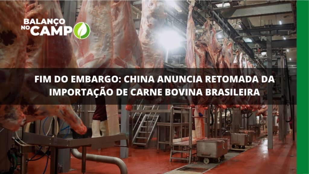 China volta a importar carne bovina brasileira.