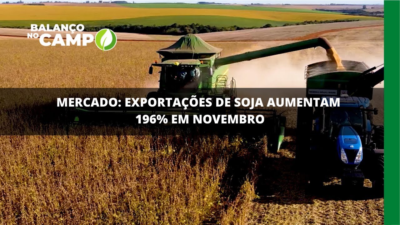 Exportações de soja crescem quase 200% em novembro