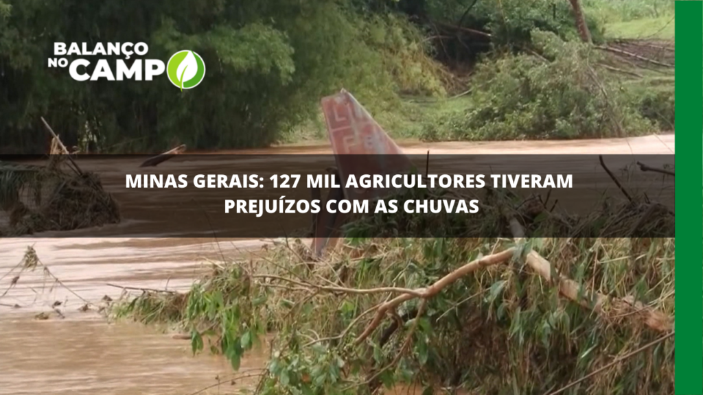 Balanço: estragos causados pelas chuvas na zona rural de MG