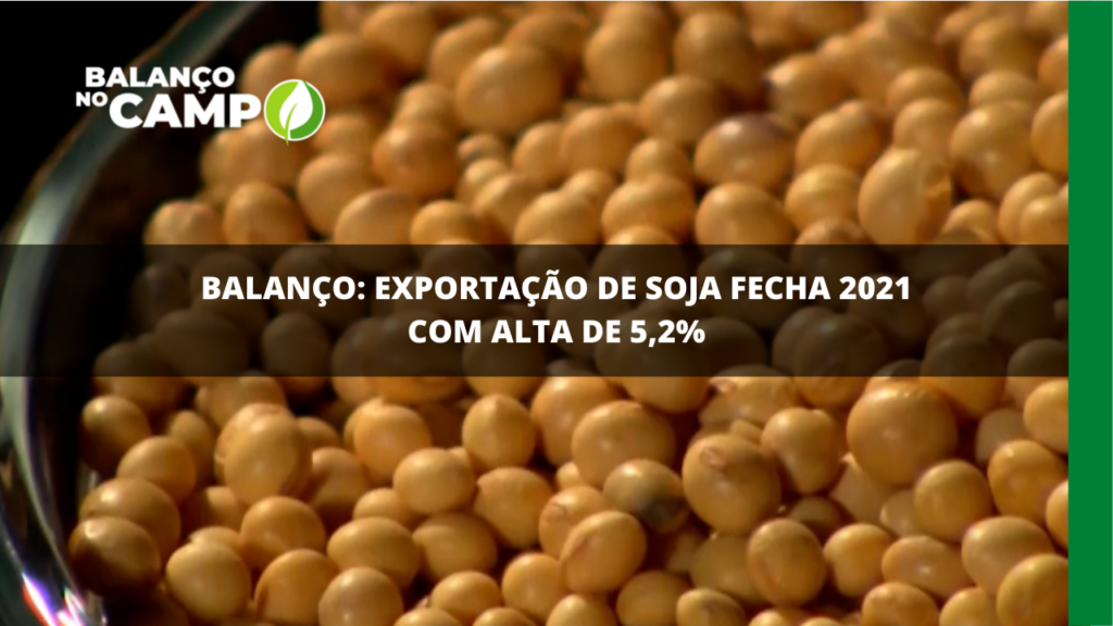 Balanço: exportação de soja fecha 2021 com alta de 5,2%