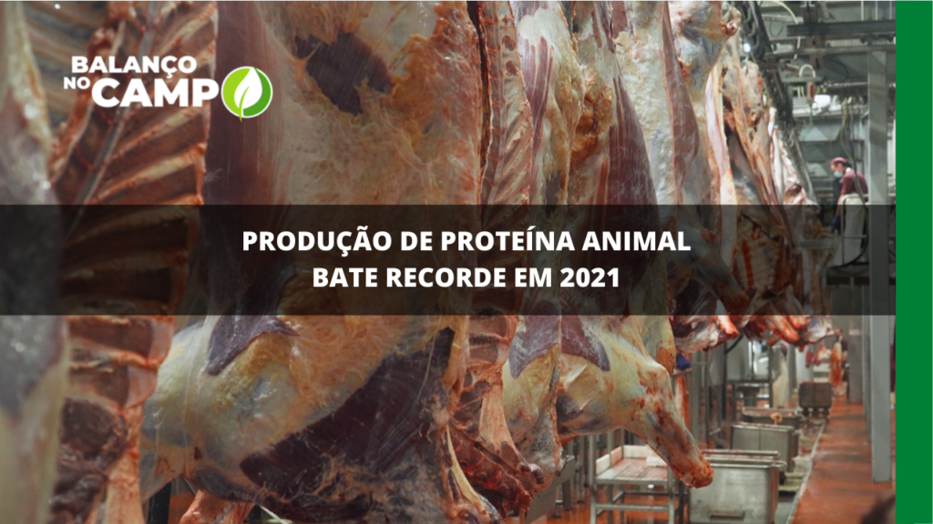 Produção de proteína animal bate recorde em 2021
