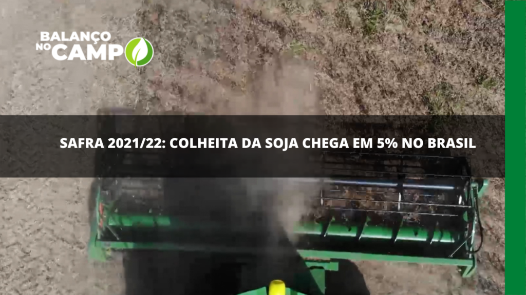 Colheita da soja atinge 5% em algumas regiões do Brasil
