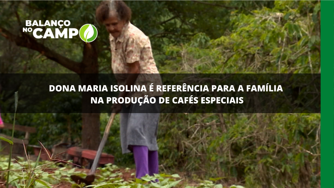 Aos 89 anos, Maria Isolina cuida das lavouras de café