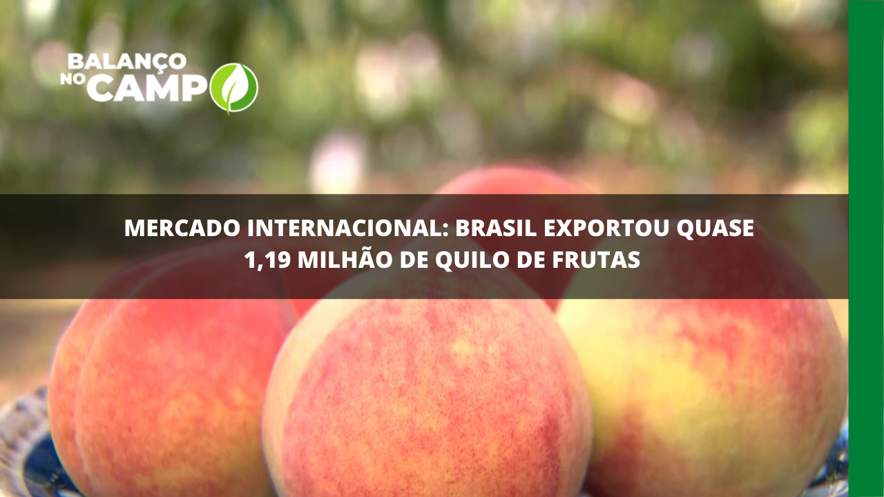 Exportações brasileiras de frutas superam US$ 1 bilhão