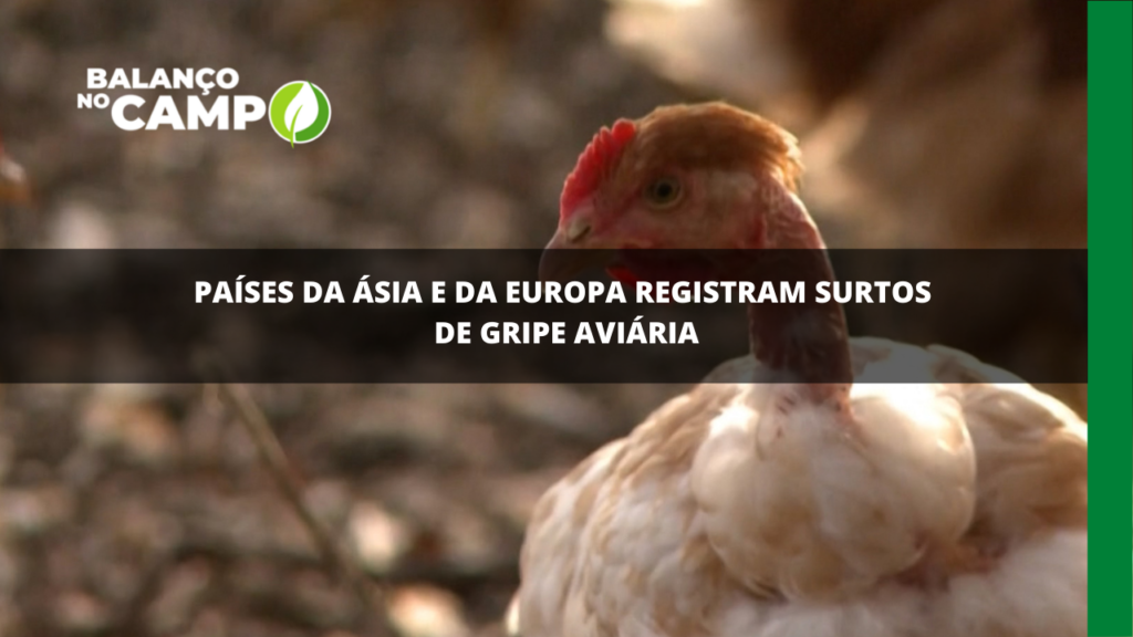Surto de gripe aviária preocupa autoridades da Ásia e da Europa