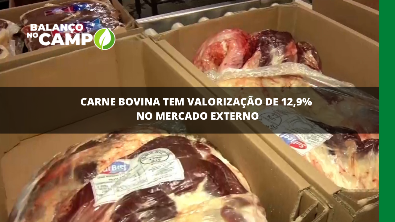 2021: carne bovina valorizou quase 13% no mercado externo