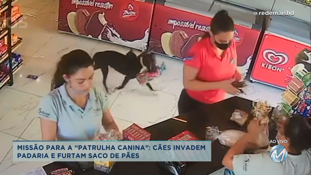 Passos: cães invadem padaria e furtam saco de pão