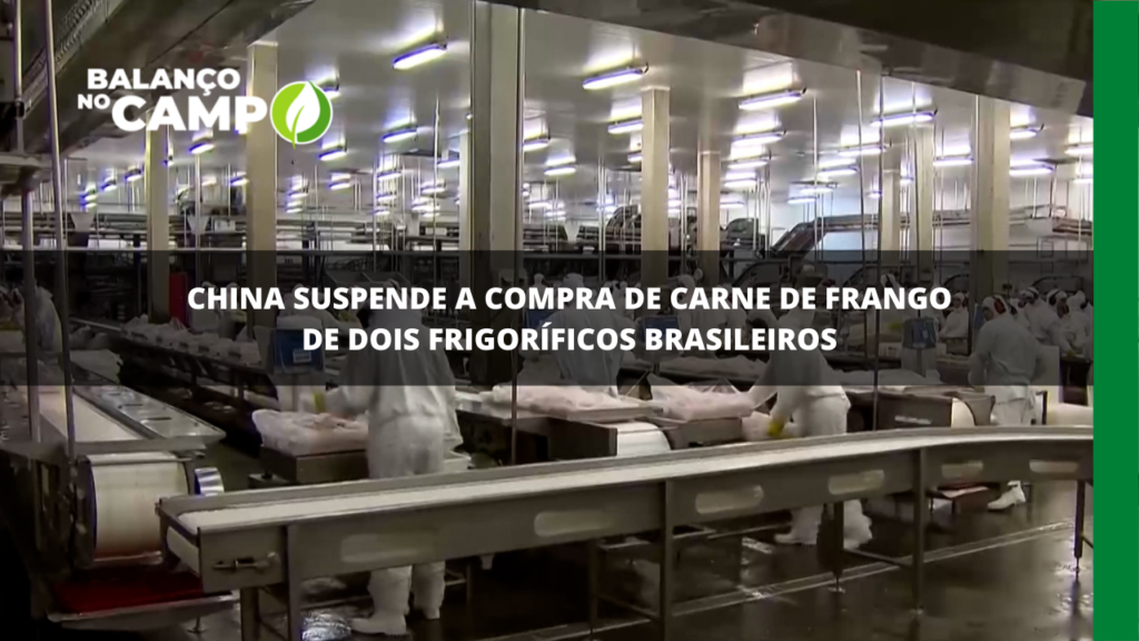 China embarga a compra de carne de frango brasileira
