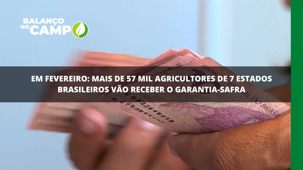 Garantia-safra: 57 mil agricultores vão receber o benefício em fevereiro