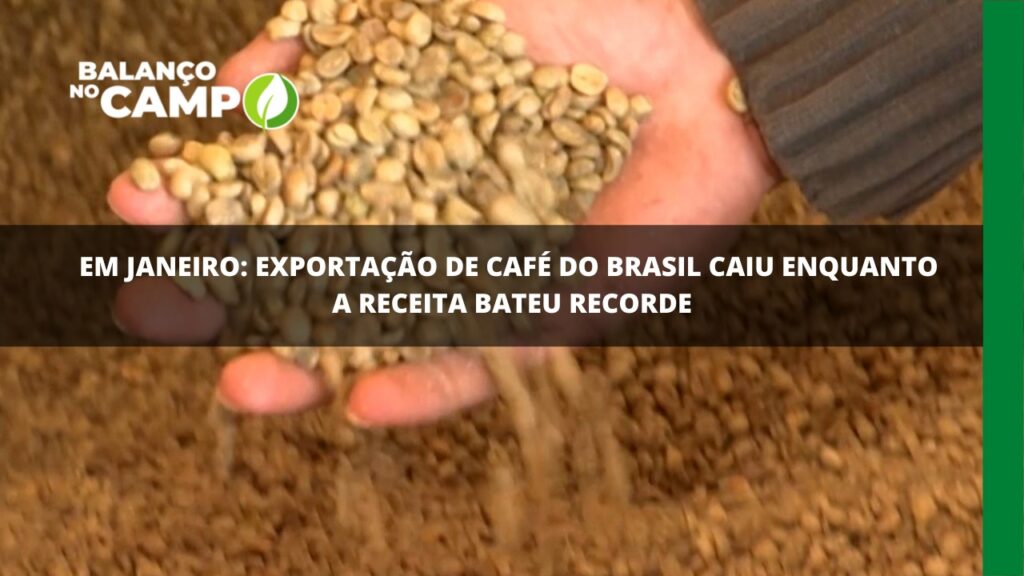 Café brasileiro: exportação cai mas receita bate recorde em janeiro