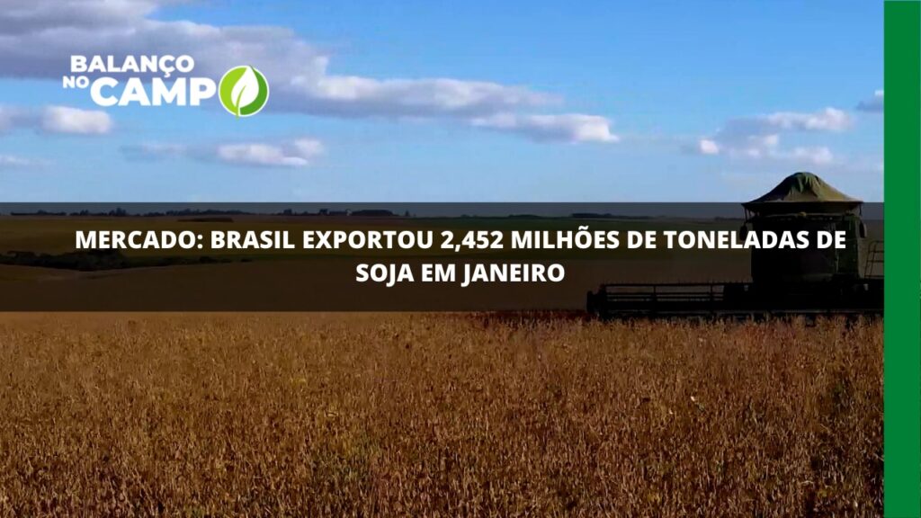 Exportações de soja atingem quase 2,5 mi/ton em janeiro