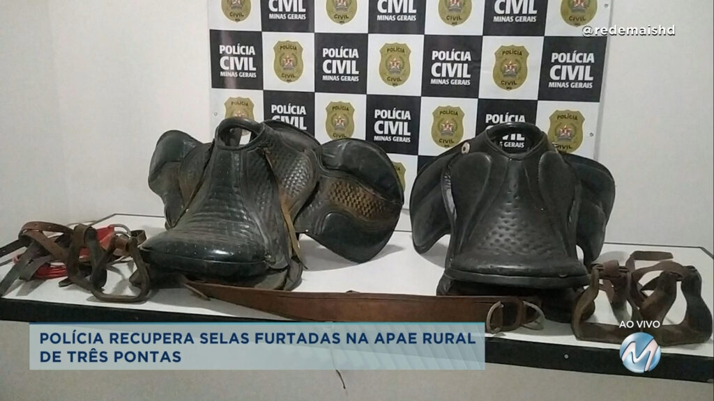 Furtadas na Apae: polícia recupera selas em Três Pontas.