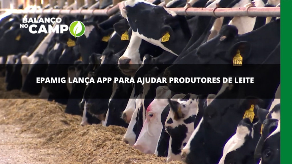 Epamig desenvolve app para produtores de leite