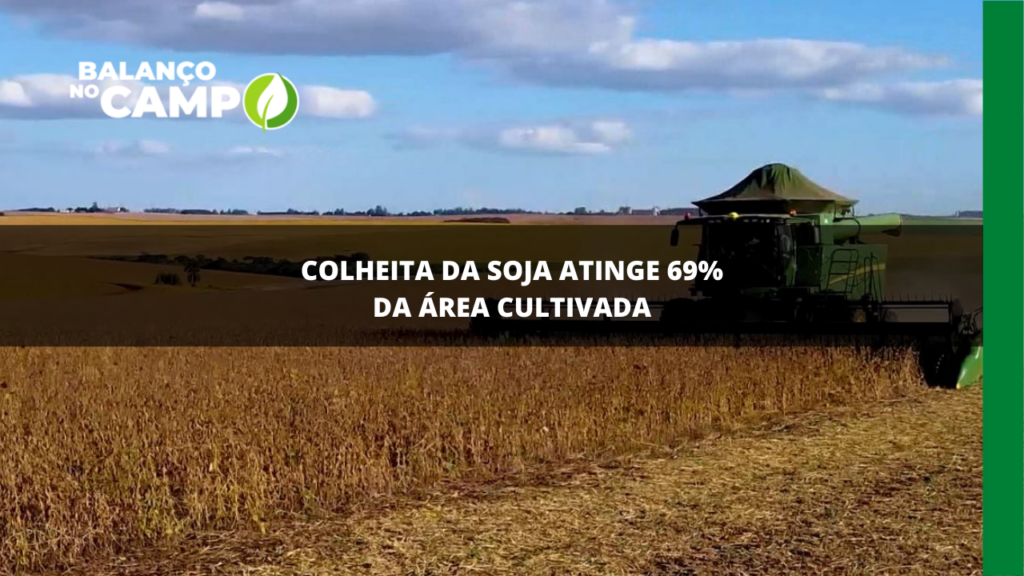 Colheita da soja atinge 69% da área cultivada