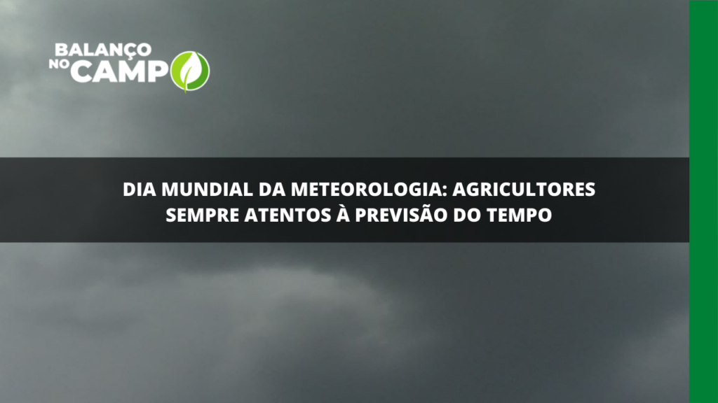 Dia mundial da meteorologia: agricultores sempre atentos à previsão do tempo