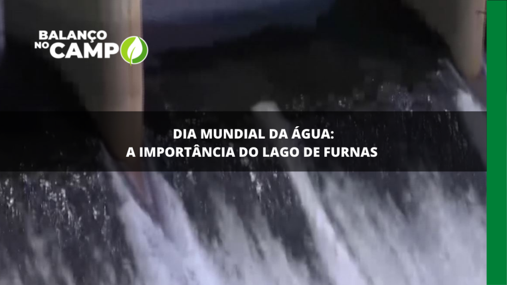 Dia mundial da água: a importância do Lago de Furnas