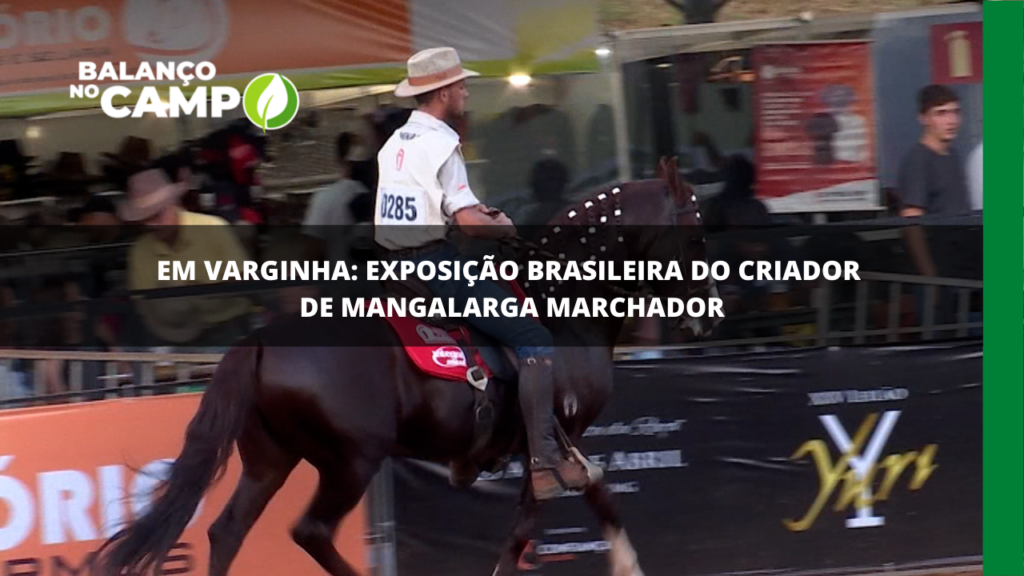 Exposição de criadores de cavalos Mangalarga Marchadores