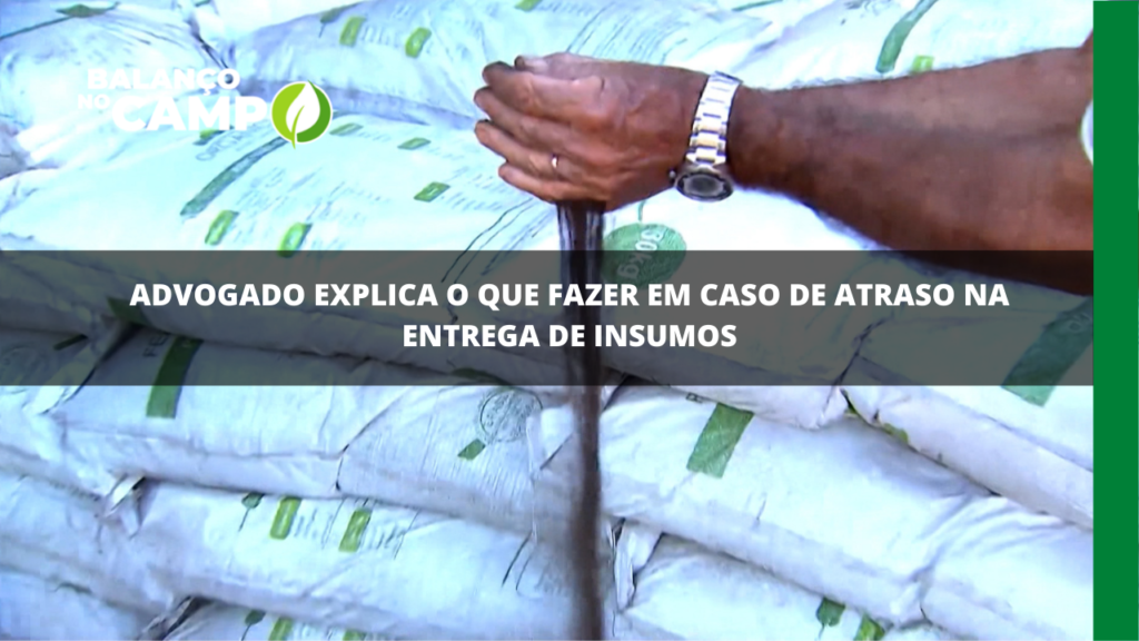 Advogado esclarece dúvidas em caso de atraso na entrega de insumos