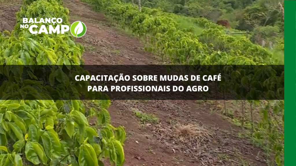 Capacitação sobre mudas de café para profissionais do agro