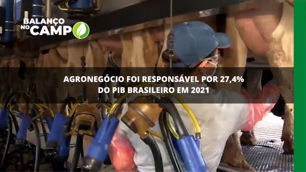 PIB agropecuário tem grande representatividade na economia do país