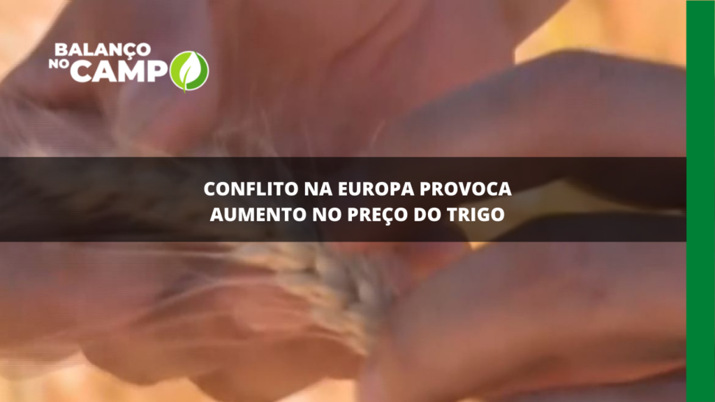 Conflito na Europa provoca aumento no preço do trigo