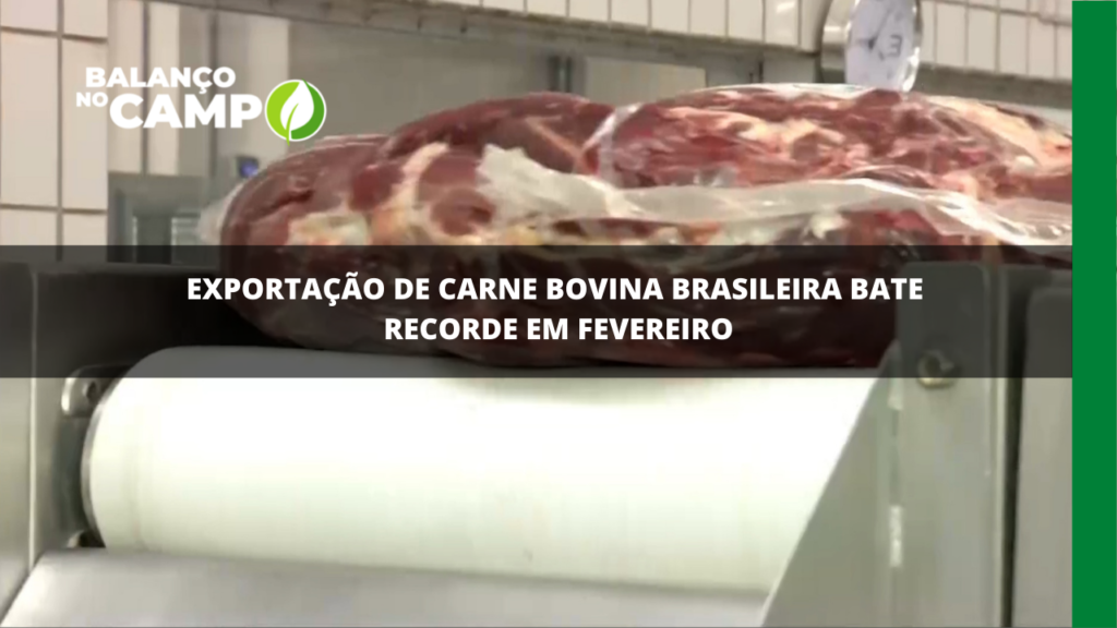 Recorde: exportação de carne bovina do Brasil atinge marca histórica