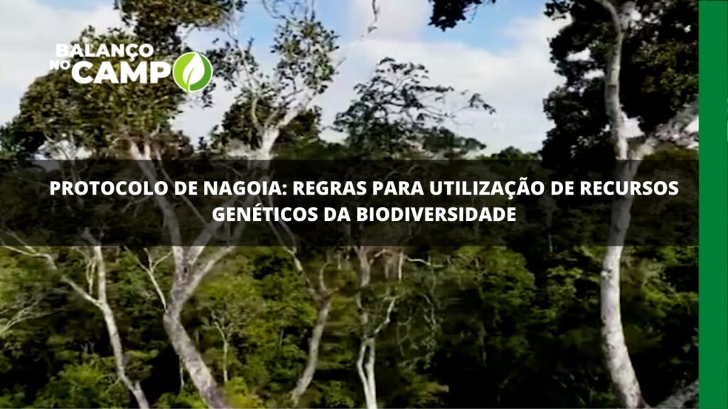 Protocolo de Nagoia: medidas que preservam a biodiversidade brasileira