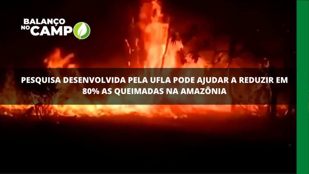 Ufla desenvolve pesquisa para ajudar a reduzir queimada na Amazônia