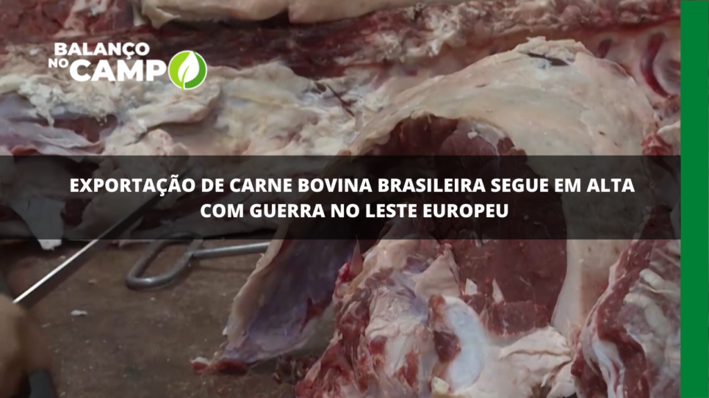 Exportação de carne bovina brasileira segue em alta