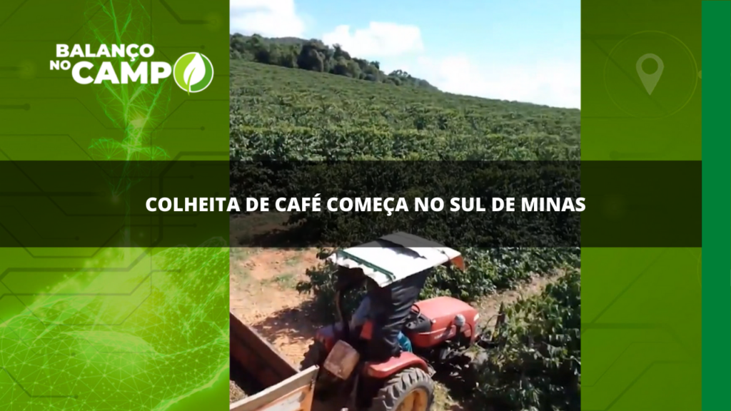 A colheita de café começou no Sul de Minas