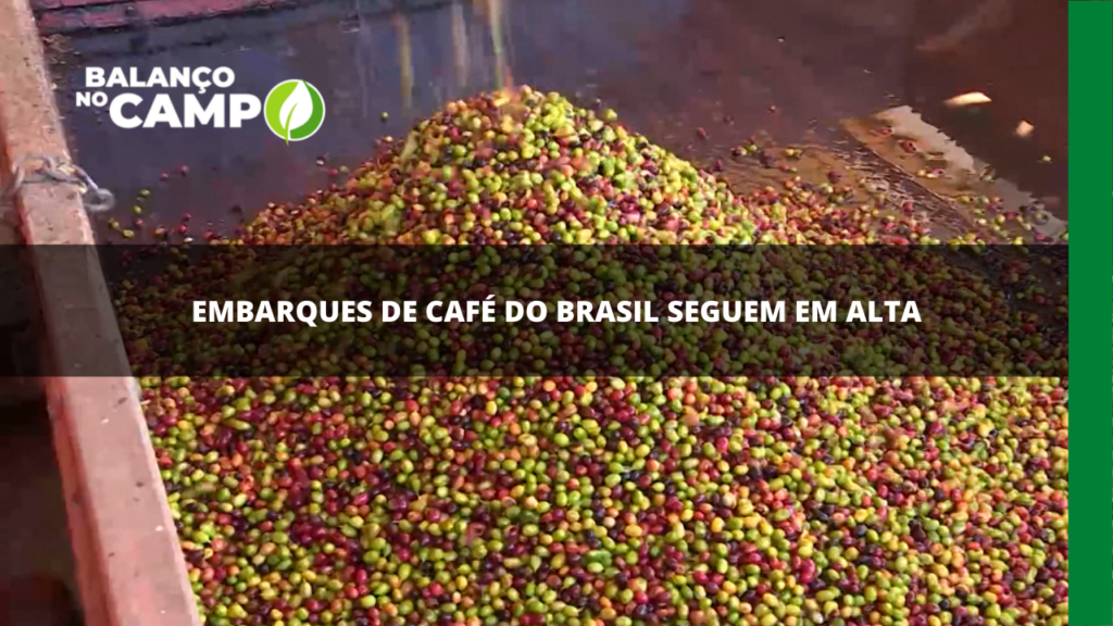 Embarques de café do Brasil seguem em alta