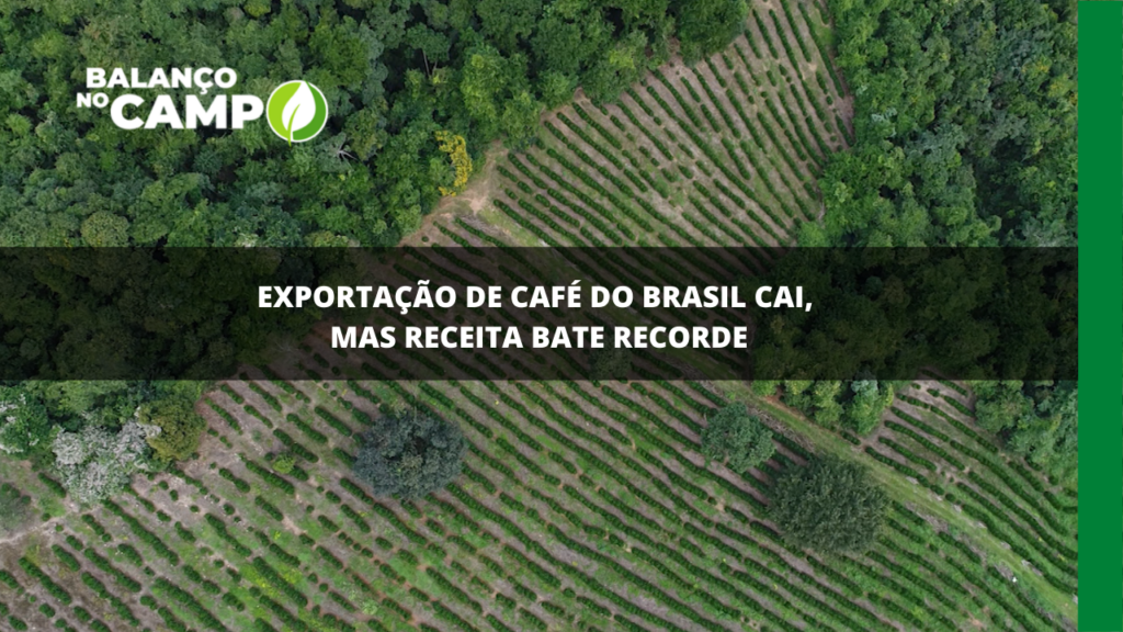 Exportação de café do Brasil cai 6% em março