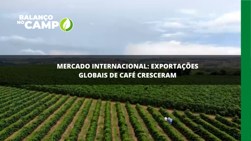 Exportações globais de café cresceram